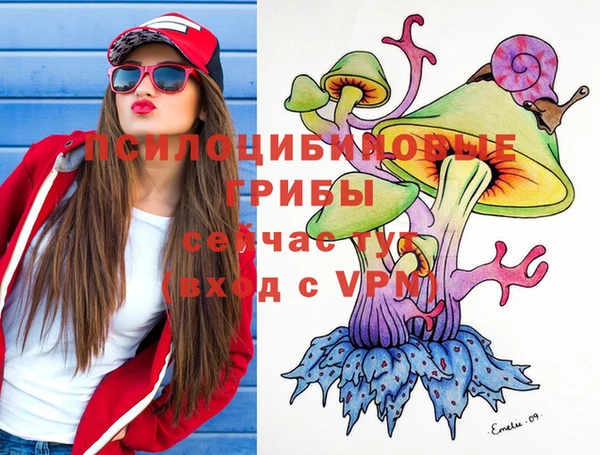 тгк Саяногорск