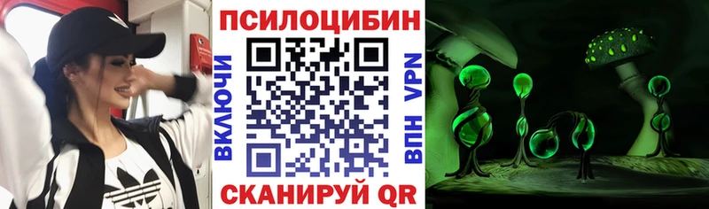 Галлюциногенные грибы GOLDEN TEACHER  Купить где  Монино 